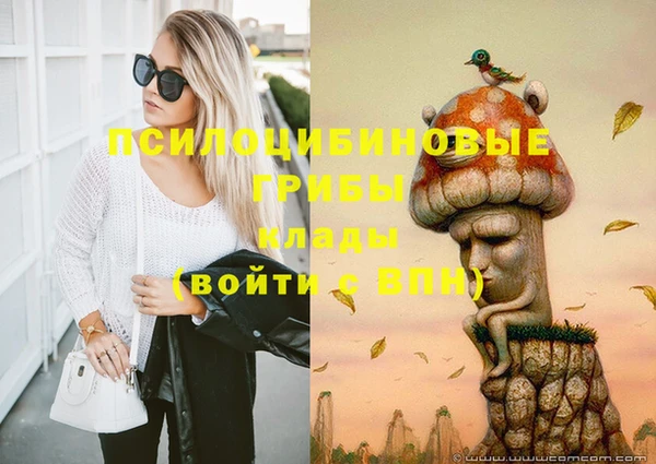 дмт Абинск