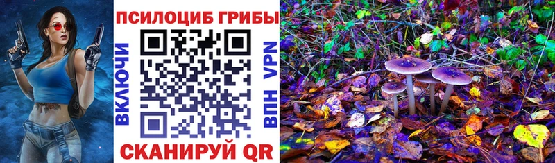 купить цена Ладушкин Псилоцибиновые грибы Psilocybine cubensis