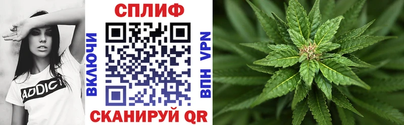 Бошки марихуана OG Kush  продажа наркотиков  Ладушкин 